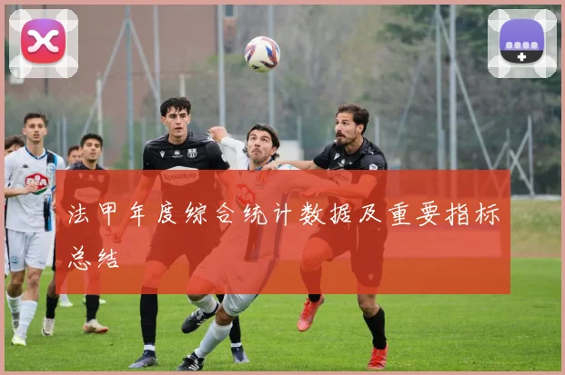 法甲年度综合统计数据及重要指标总结