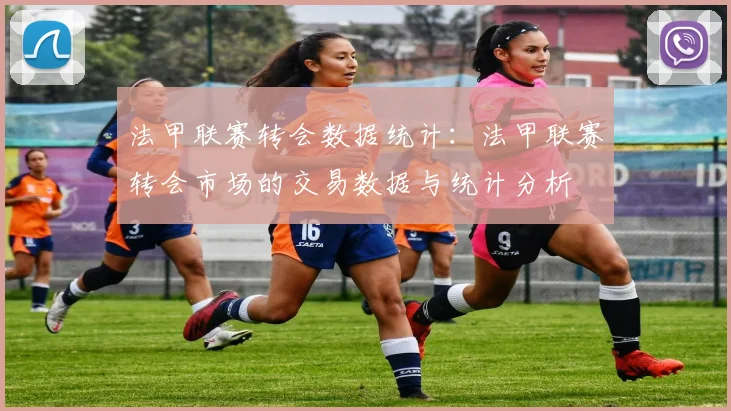 法甲联赛转会数据统计：法甲联赛转会市场的交易数据与统计分析
