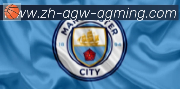 AG娱乐登录合作伙伴